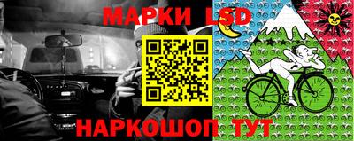 шишки Краснодар