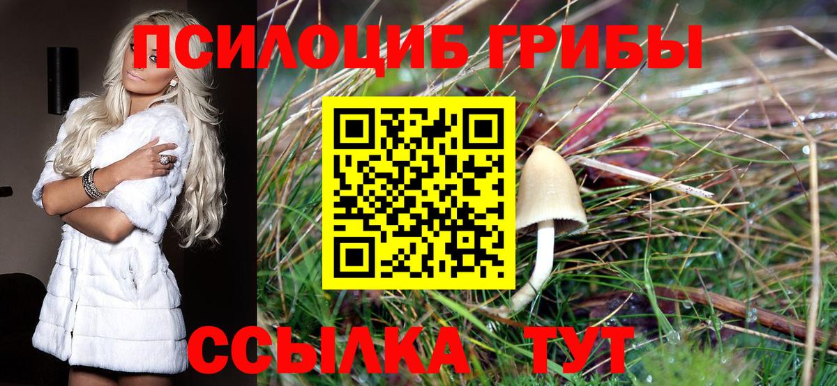 Калуга  наркотики  Вход с VPN  Галлюциногенные грибы прущие грибы 